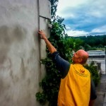 Flood Relief Work in Austria