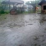Korabiewice shelter inundated2