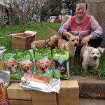 Helping-Animal-Shelters-in-Shaanxi-and-Yunnan-ProvinceChina-4