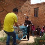 Helping Animal Shelters in Shaanxi and Yunnan Province, China