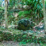 During two-day and seven-day retreats, Master used to sit on this stone and give lectures to about 300 of our Association members.