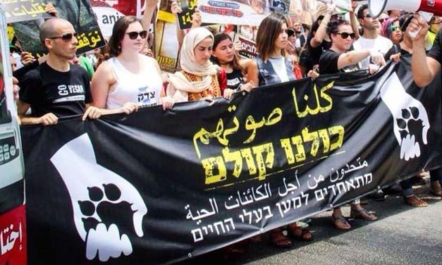 We Are All Their Voice: Coming Together for the Animals in Haifa, Israel