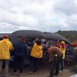 We returned to Camp Moria in Lesbos, Greece to deliver clothes, shoes and supplies, and helped erect a new temporary storage tent, as the other storage tent was blown over by strong winds. November 22