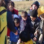 Providing food, and flyers with Master’s comforting words in Arabic and English, in Idomeni, Greece – December 3, 2015