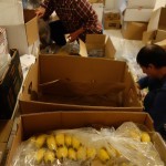 Buying vegan food for refugees in Idomeni, Greece - December 4, 2015