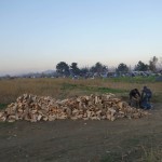 Refugees in Idomeni, Greece – December 4, 2015