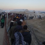 Providing vegan food, and flyers with Master’s comforting words in Arabic and English to the refugees in Idomeni, Greece – December 5, 2015