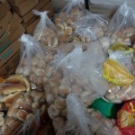 20151211 refugees are glad to receive our foods in Idomeni Greece (56)