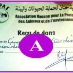 Receipt for Helping Animals in Morocco