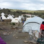 Moria camp, Olive Grove Project on Lesbos Island, Greece