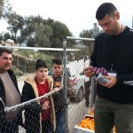 Volunteer from Kara Tepe Camp on Lesbos Island, Greece, Distributing Items to Refugees