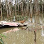 160566-Thailand flood relief-Dec2016 (5)