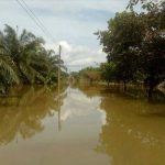 160566-Thailand flood relief-Jan2017 (3)