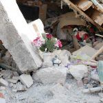 170644_Lesbos Earthquake Disaster Areas 14_flowers and