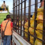 Relief Aid Earthquake, Tsunami and Soil Liquefaction in Sulawesi, Indonesia_ 180801 (4)